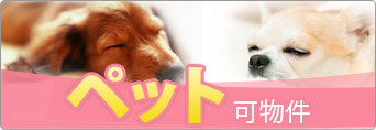 ペット可特集